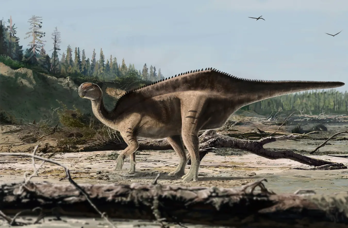 Retired GP discovers three new dinosaur species on the Isle of Wight and proves you’re never too old to do a PhD