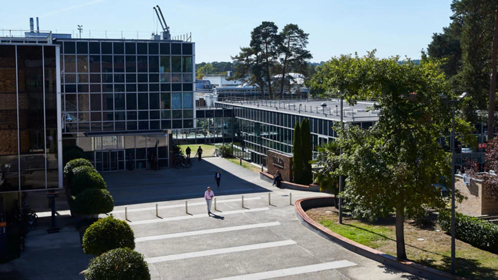 Online Pre-Doctoral Summer Camp 2026 Using AI for Research in Organisation Science